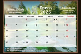 Calendario Greenfriends-25-enero